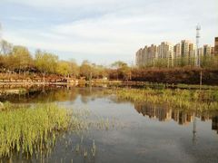 -前关湿地公园