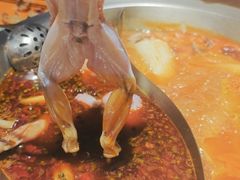 -铭记蛙小仙·活蛙畅享(CBD万达广场店)