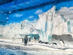 -海合安天津极地海洋公园