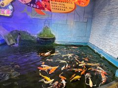 -梦幻海洋王国(吾悦广场张家港店)