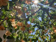 -厦门良筑精品酒店(厦门中山路店)