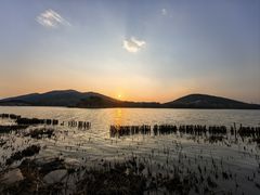 -长广溪湿地公园