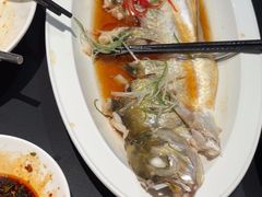 -金陵家宴·金陵春·南京菜(夫子庙店)