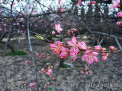-汉长安城未央宫国家考古遗址公园