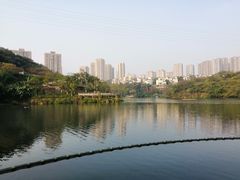 -重庆彩云湖湿地公园