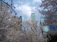 -西北湖绿化广场