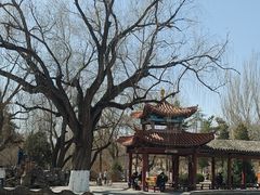 -满都海公园