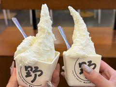 -野人先生Gelato(上海长宁龙之梦店)