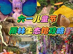 -正佳雨林生态植物园