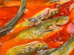 -小小河边鱼(天润城店)