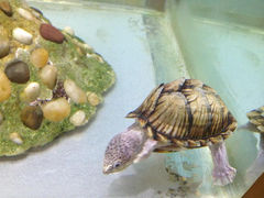 7.3-上海大自然野生昆虫馆