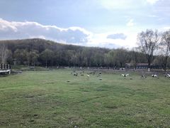 -哈尔滨北方森林动物园