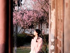 -香雪海