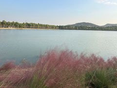-羊山湖公园