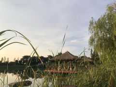 -苏州湾·王焰温泉