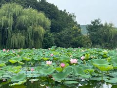 -云龙湖旅游景区