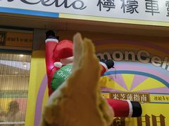 -柠檬车露(卖草地店)