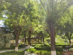 -宝馨月月子中心(友谊医院店)