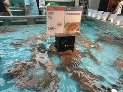 大堂-盒马鲜生(宝地店)