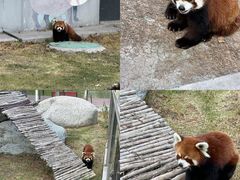 -水上乐园·欢乐世界