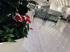 -7-ELEVEn(深圳宝安机场近14登机口)