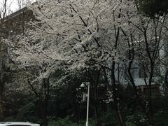 -天目湖御水温泉·度假酒店