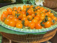 -苏格里岛·自助烤肉·火锅海鲜(金鼎广场店)