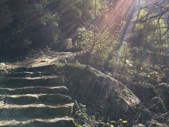 -青峰峡国家森林公园