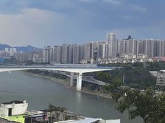 -李子坝梁山鸡(李子坝大鸡哥店)