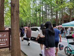 -日照海滨国家森林公园