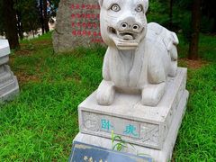 -龙口南山旅游景区