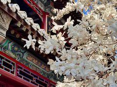 -潭柘寺景区