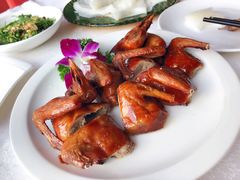 红烧乳鸽-顺德佬酒楼(粤海店)