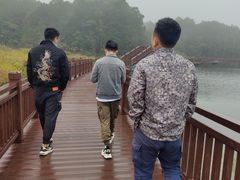 -海南热带雨林国家公园吊罗山景区