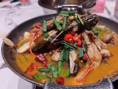 -阿露佳·舌尖上的安吉菜