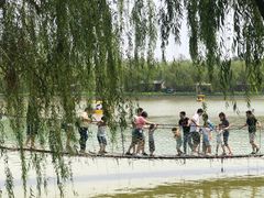 -杨柳青庄园