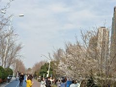 -钱塘江大桥