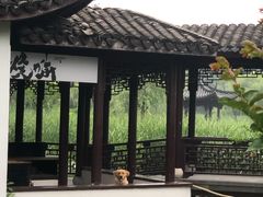 -日出青木·杭帮菜名店