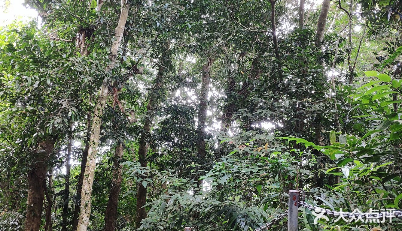 周末去爬山吧--美丽的七仙岭在等你！