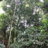 周末去爬山吧--美丽的七仙岭在等你！