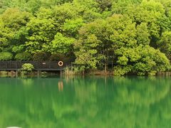 -白马涧龙池景区