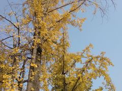 -百林公园-两江幸福广场