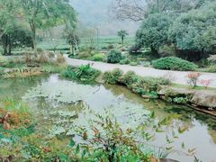 -中国茶叶博物馆(双峰馆区)
