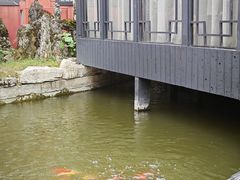 -翠园十八号庭院餐厅