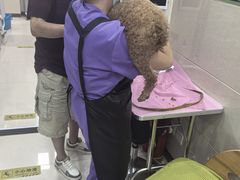 -北京观赏动物医院·24小时大型综合·猫专科·异宠专科