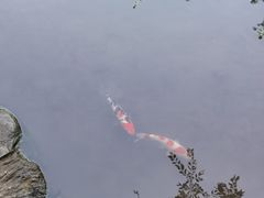 -龙头寺公园