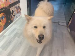 -肆兮眼镜·蔡司·徕卡战略合作店(大坪店)