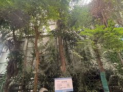 -呀路古热带植物园