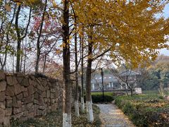 -白马涧龙池景区