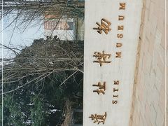 -金沙遗址博物馆